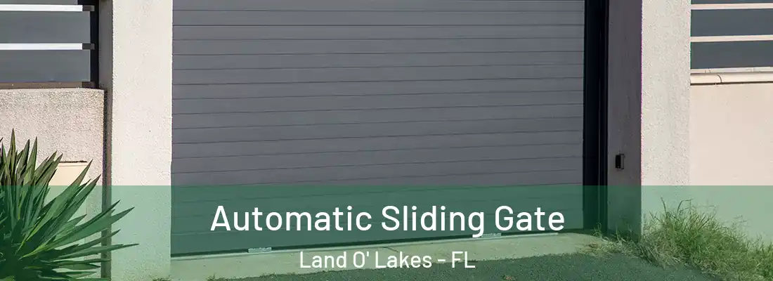  Automatic Sliding Gate Land O' Lakes - FL