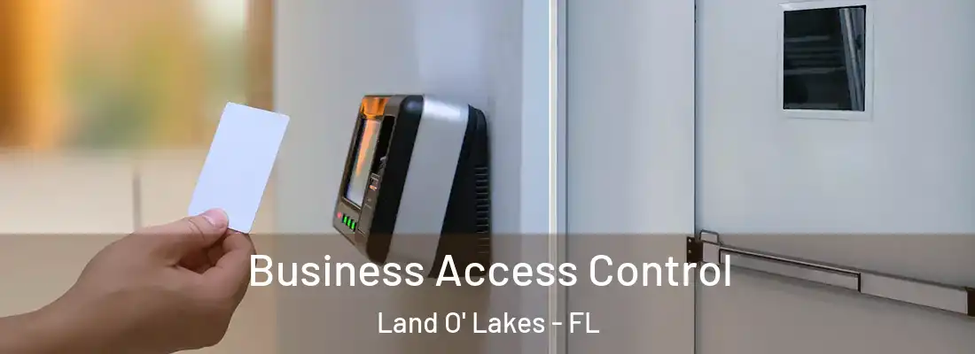  Business Access Control Land O' Lakes - FL