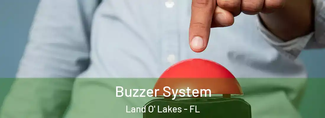  Buzzer System Land O' Lakes - FL