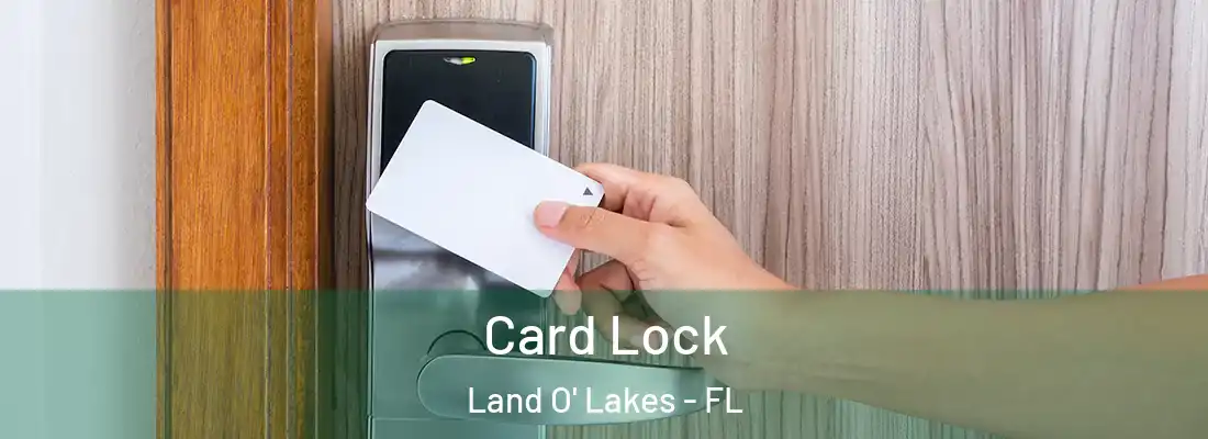 Card Lock Land O' Lakes - FL