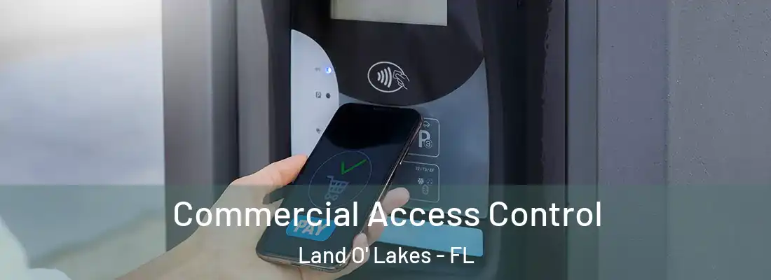 Commercial Access Control Land O' Lakes - FL
