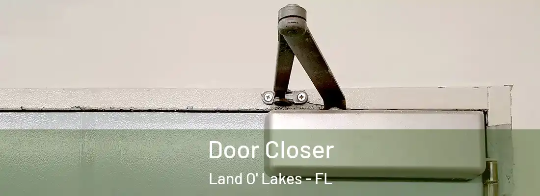  Door Closer Land O' Lakes - FL