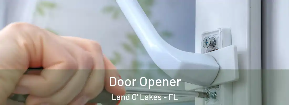 Door Opener Land O' Lakes - FL