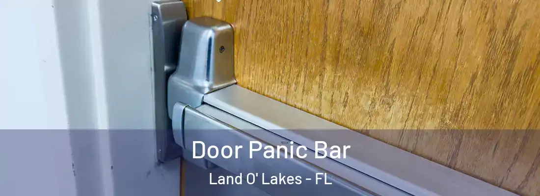 Door Panic Bar Land O' Lakes - FL