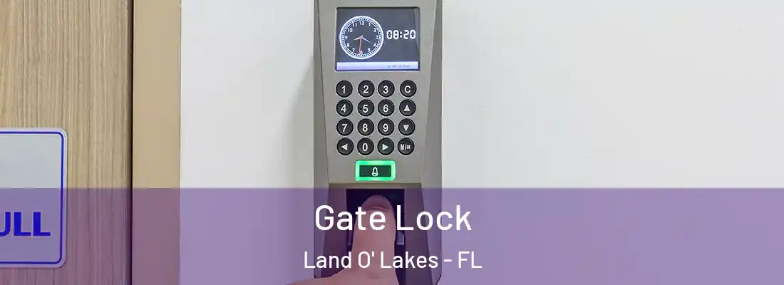 Gate Lock Land O' Lakes - FL