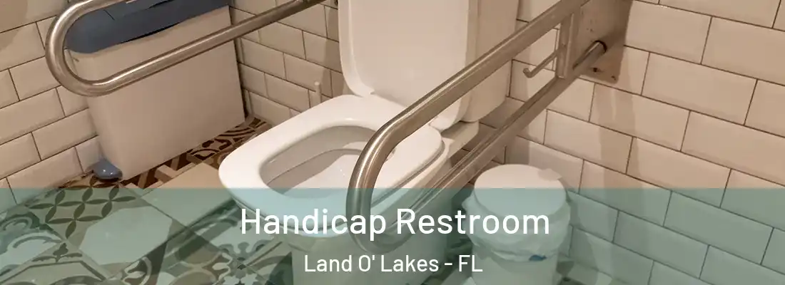  Handicap Restroom Land O' Lakes - FL