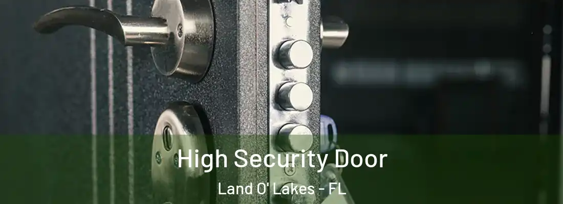  High Security Door Land O' Lakes - FL