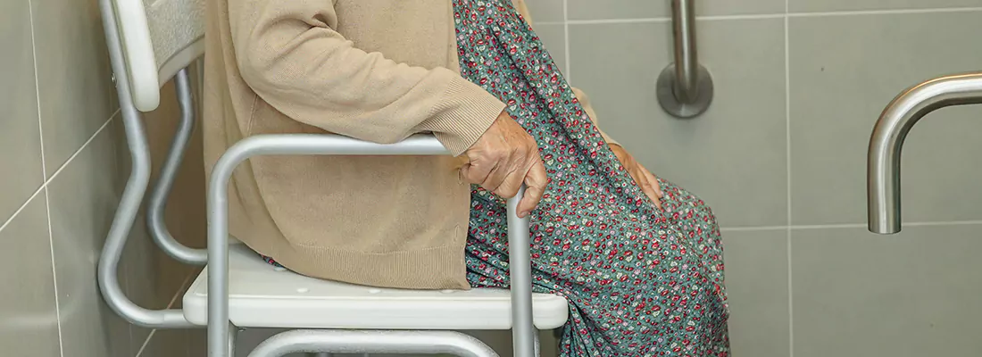 Handicap Toilet Repairs and Maintenance in Land O' Lakes, FL