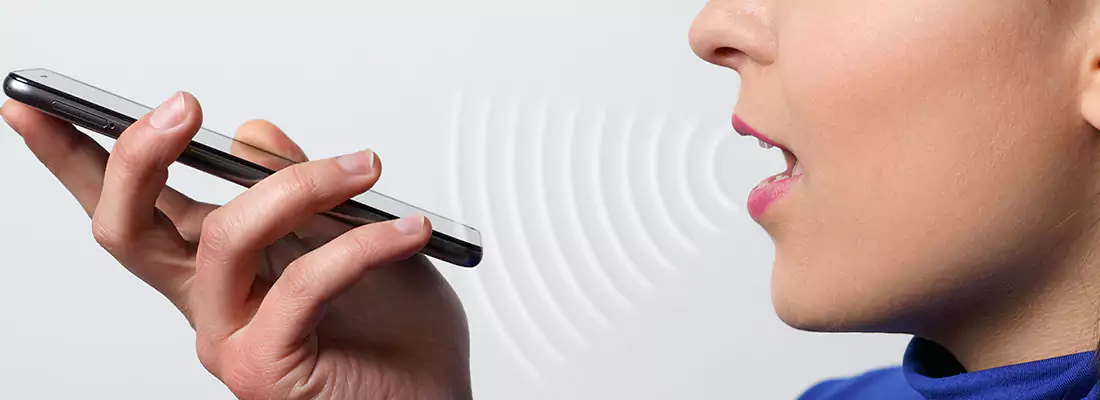 Residential and Commercial Voice Recognition Access Solutions in Land O' Lakes, FL