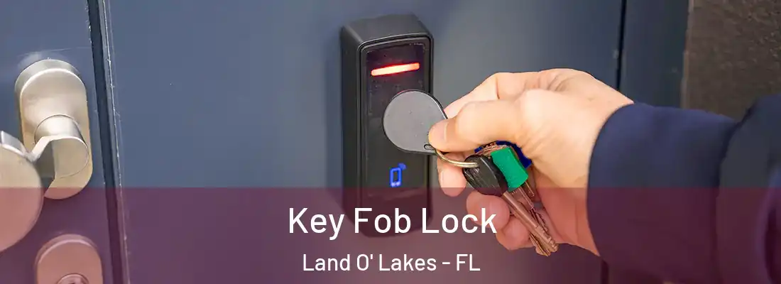 Key Fob Lock Land O' Lakes - FL