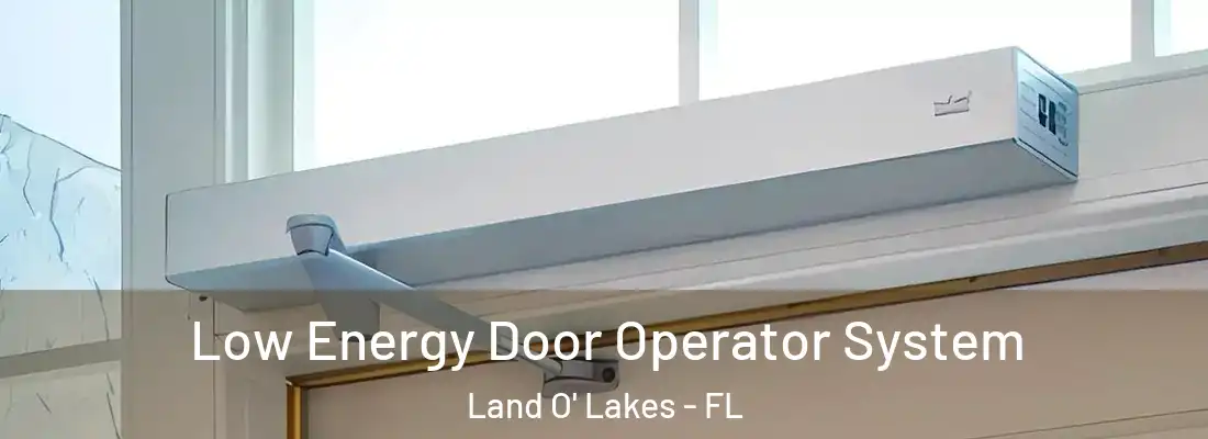  Low Energy Door Operator System Land O' Lakes - FL