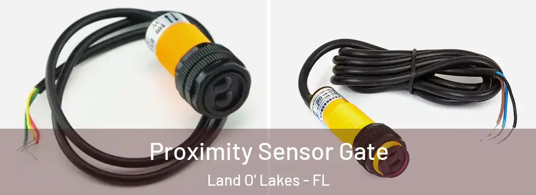  Proximity Sensor Gate Land O' Lakes - FL