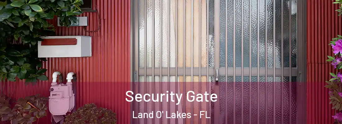  Security Gate Land O' Lakes - FL