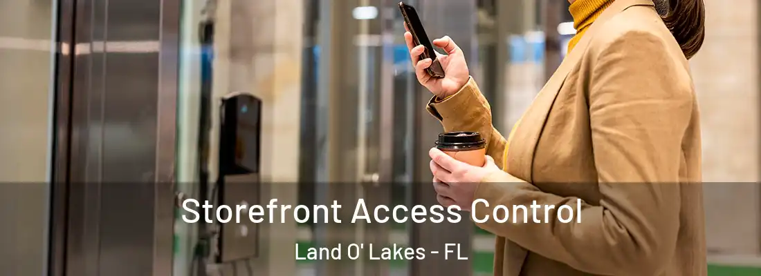  Storefront Access Control Land O' Lakes - FL