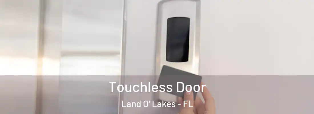 Touchless Door Land O' Lakes - FL